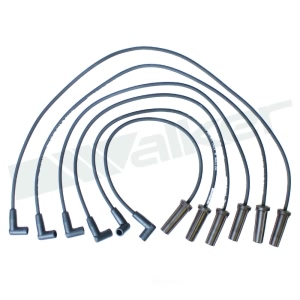 Walker Products Spark Plug Wire Set for 2001 Chevrolet Camaro - 924-1826