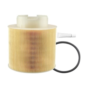 Hastings Air Filter for 2009 Audi A6 - AF1491