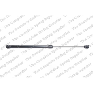 lesjofors Liftgate Lift Support for Hyundai - 8137242