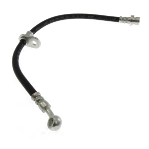 Centric Rear Passenger Side Brake Hose for 1999 Honda Prelude - 150.40335