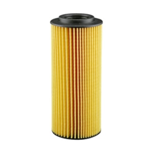 Hastings Engine Oil Filter Element for 2016 Porsche Cayenne - LF629