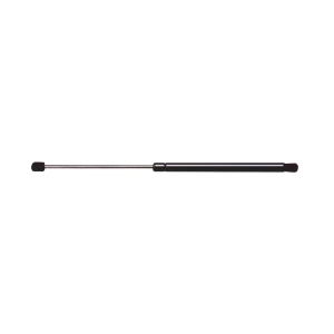 StrongArm Liftgate Lift Support for 2004 Mini Cooper - 4360