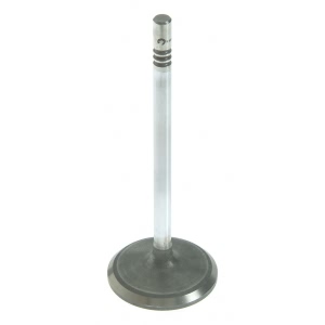 Sealed Power Engine Intake Valve for 2004 Lincoln Town Car - V-4602