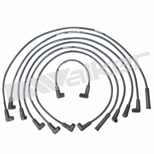 Walker Products Spark Plug Wire Set for 1987 Chevrolet Monte Carlo - 924-1356