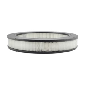 Hastings Air Filter for 1990 Toyota Pickup - AF502