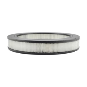 Hastings Air Filter for 1989 Toyota Pickup - AF502