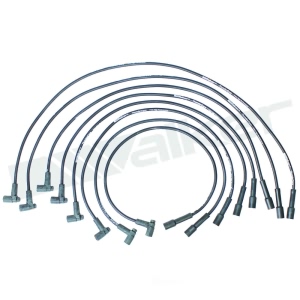Walker Products Spark Plug Wire Set for Buick Regal - 924-1414