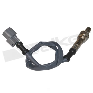 Walker Products Oxygen Sensor for 2003 Acura NSX - 350-34386