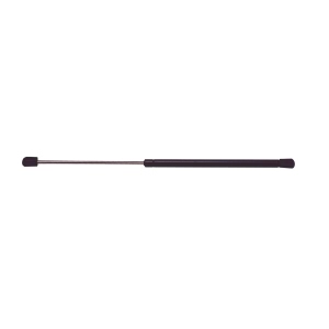 StrongArm Hood Lift Support for 2001 Oldsmobile Intrigue - 4295