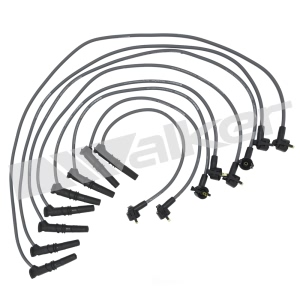 Walker Products Spark Plug Wire Set for 1998 Ford F-150 - 924-1403