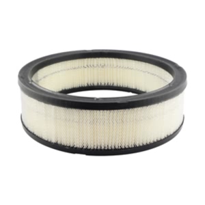 Hastings Air Filter for Buick Skylark - AF60