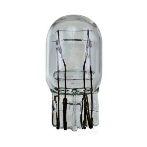 Hella Long Life Series Incandescent Miniature Light Bulb for Isuzu Oasis - 7443LL