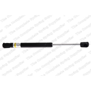 lesjofors Trunk Lid Lift Support for 1992 BMW 318is - 8108402