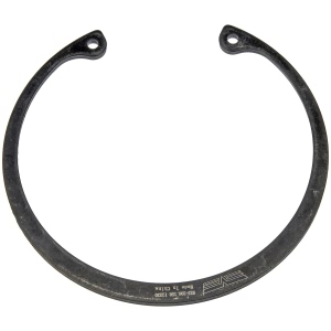 Dorman OE Solutions Rear Wheel Bearing Retaining Ring for Ford - 933-206