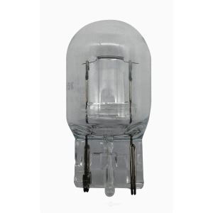 Hella 7440Tb Standard Series Incandescent Miniature Light Bulb for 2007 Nissan 350Z - 7440TB