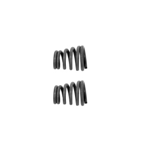 Walker Exhaust Springs for 1992 Buick Park Avenue - 35281