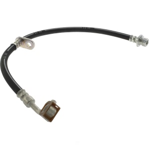 Centric Brake Hose for Acura Integra - 150.40340