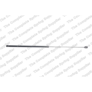 lesjofors Hood Lift Support for 2018 Volkswagen Golf - 8095021