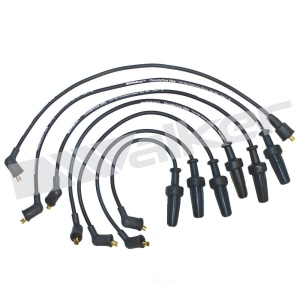 Walker Products Spark Plug Wire Set for 1990 Peugeot 505 - 924-1261