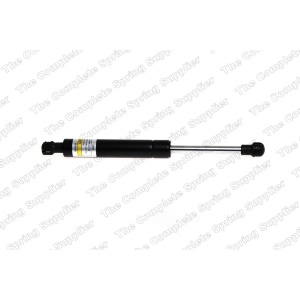 lesjofors Hood Lift Support for 2004 Volvo V70 - 8095806