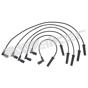 Walker Products Spark Plug Wire Set for 2006 Buick Terraza - 924-2047
