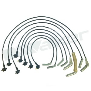 Walker Products Spark Plug Wire Set for 2001 Ford Explorer - 924-1518