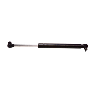StrongArm Liftgate Lift Support for Dodge - 4535