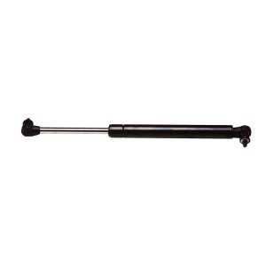 StrongArm Liftgate Lift Support for 2001 Dodge Grand Caravan - 4535