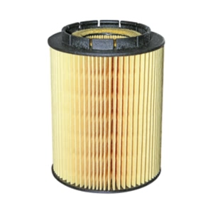 Hastings Engine Oil Filter Element for 2005 Volkswagen Touareg - LF577