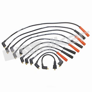 Walker Products Spark Plug Wire Set for 1989 Nissan Stanza - 924-1128