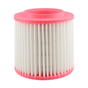 Hastings Air Filter for Audi A8 Quattro - AF1565