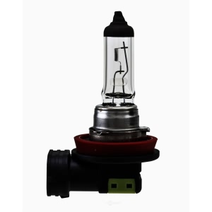 Hella H11Sb Standard Series Halogen Light Bulb for 2014 Honda Ridgeline - H11SB