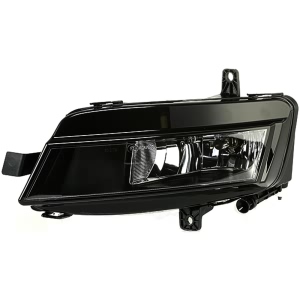 Hella Driver Side Fog Light for 2015 Volkswagen e-Golf - 011223071