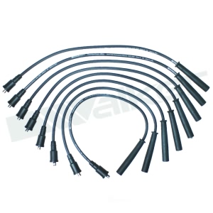 Walker Products Spark Plug Wire Set for Ford F-350 - 924-2084