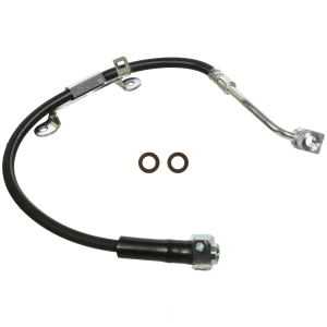 Wagner Front Passenger Side Brake Hydraulic Hose for Chevrolet Trailblazer EXT - BH141362