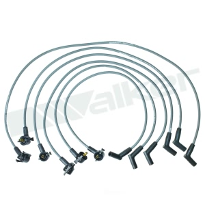 Walker Products Spark Plug Wire Set for 1998 Ford F-150 - 924-1801