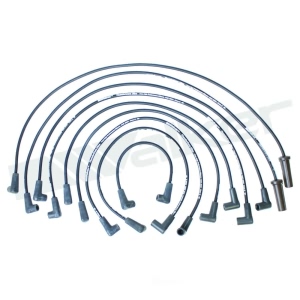 Walker Products Spark Plug Wire Set for 1995 GMC G2500 - 924-1438