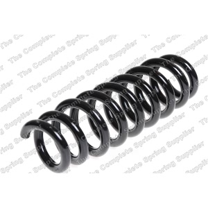 lesjofors Coil Spring for 2009 BMW 335i - 4208463