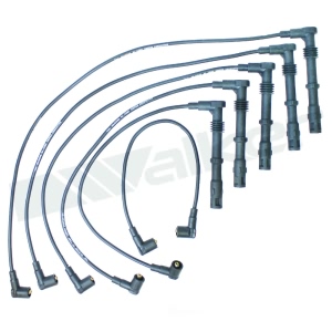 Walker Products Spark Plug Wire Set for 1991 Audi 90 Quattro - 924-1488