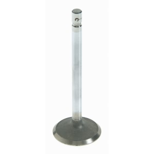 Sealed Power Engine Intake Valve for Plymouth Acclaim - V-2428
