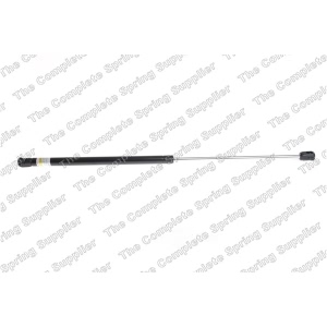 lesjofors Hood Lift Support for 2004 Porsche Cayenne - 8069705