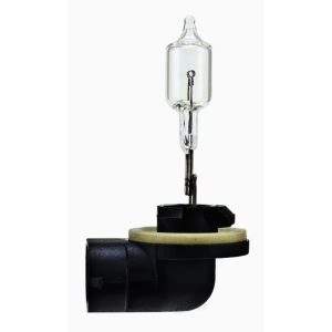 Hella 894 Standard Series Halogen Light Bulb for GMC K2500 Suburban - 894