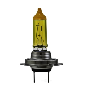 Hella Design Series Halogen Light Bulb for 2016 Mercedes-Benz SL550 - H7 YL