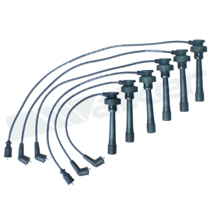 Walker Products Spark Plug Wire Set for 2001 Mitsubishi Montero - 924-1782