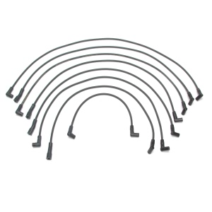Delphi Spark Plug Wire Set for Chevrolet C10 - XS10282