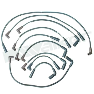 Walker Products Spark Plug Wire Set for Buick Commercial Chassis - 924-1476