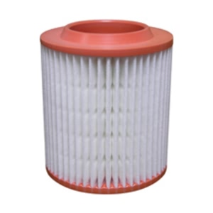 Hastings Air Filter for 2005 Audi A8 Quattro - AF1242
