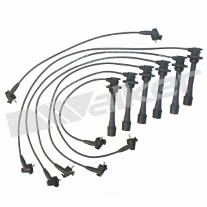 Walker Products Spark Plug Wire Set for 1993 Lexus ES300 - 924-1308