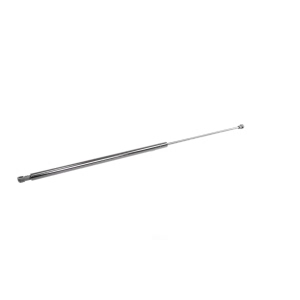 VAICO Hood Lift Support for 2000 Volvo S40 - V95-0193