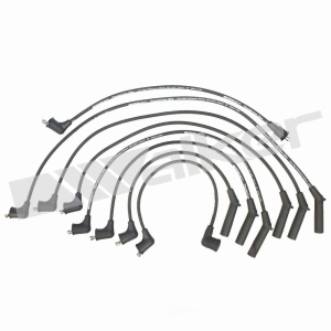Walker Products Spark Plug Wire Set for 1993 Dodge Shadow - 924-1301